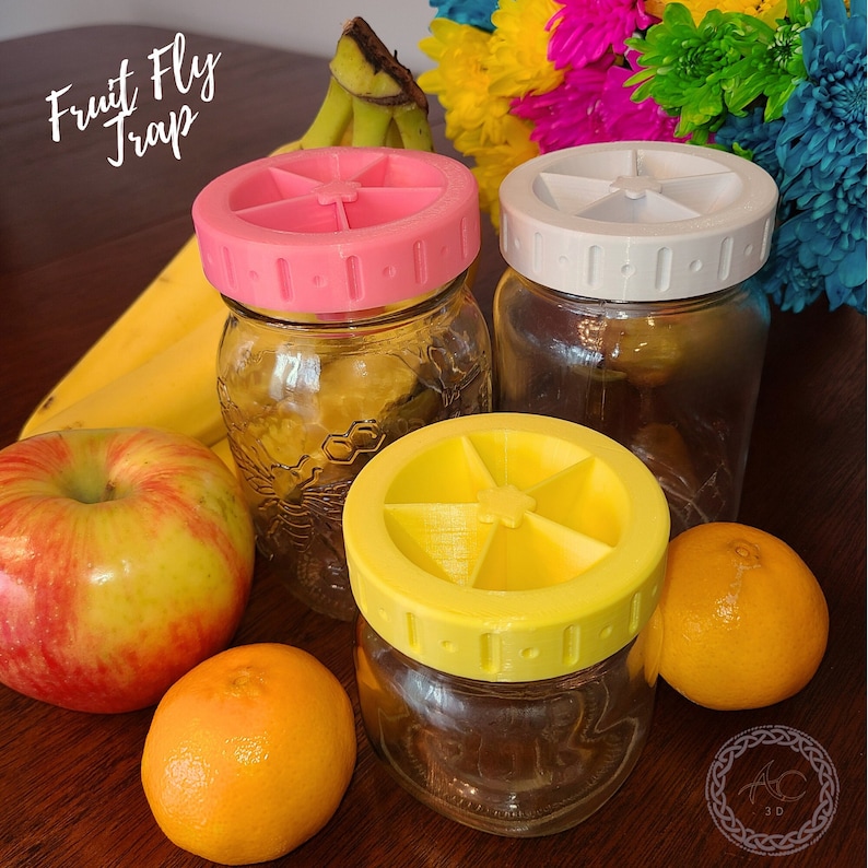 Fruit Fly Trap for Mason Jars Etsy