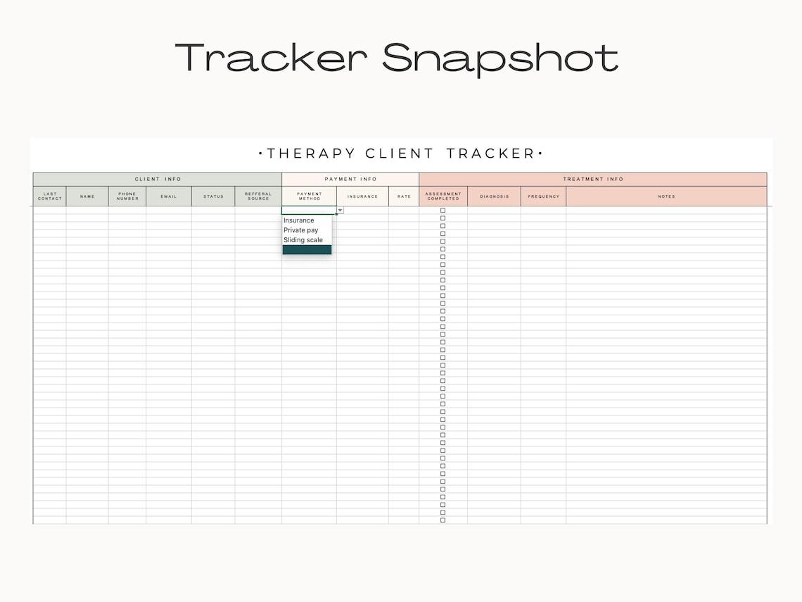 Therapist Client Tracker Excel Template: Caseload Tracker (digital ...