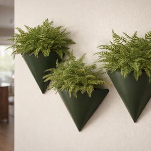 May include: Three dark green, cone-shaped wall planters, each filled with vibrant green ferns. The planters are mounted on a light-colored wall, creating a modern, minimalist aesthetic. The ferns add a touch of nature to the interior.