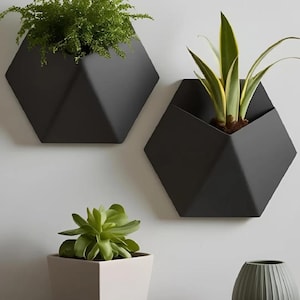 May include: Three black geometric wall planters with different plants. The planters are made of metal and have a matte finish. The plants are a fern, a succulent, and a snake plant.
