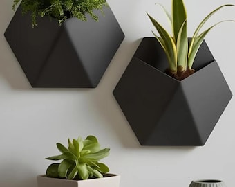 3D Printed Hexagon Wall Planter: Geometric Indoor Decor