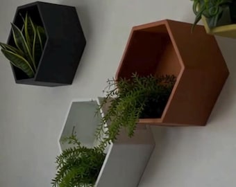 Hexagon Wall Planter, Modern Hanging Flower Pot, Minimal Geometric Plant Holder