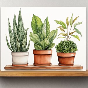Botanical Bliss Watercolor Print - Potted Houseplants Collection, Digital Download, Bedroom Wall Decor, Watercolor Painting