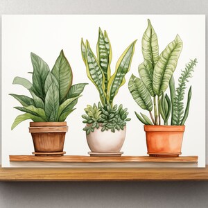 Botanical Bliss Watercolor Print - Potted Houseplants Collection, Digital Download, Bedroom Wall Decor, Watercolor Painting
