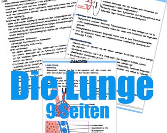 Die Lunge - Anatomie und Physiologie