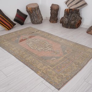 Può includere: Un tappeto rettangolare in stile vintage con un motivo a medaglione centrale nei toni del rosa, beige e grigio. Il tappeto presenta un bordo ornato ed è posto su un pavimento in legno chiaro. Cuscini decorativi e sezioni di tronco d'albero sullo sfondo.