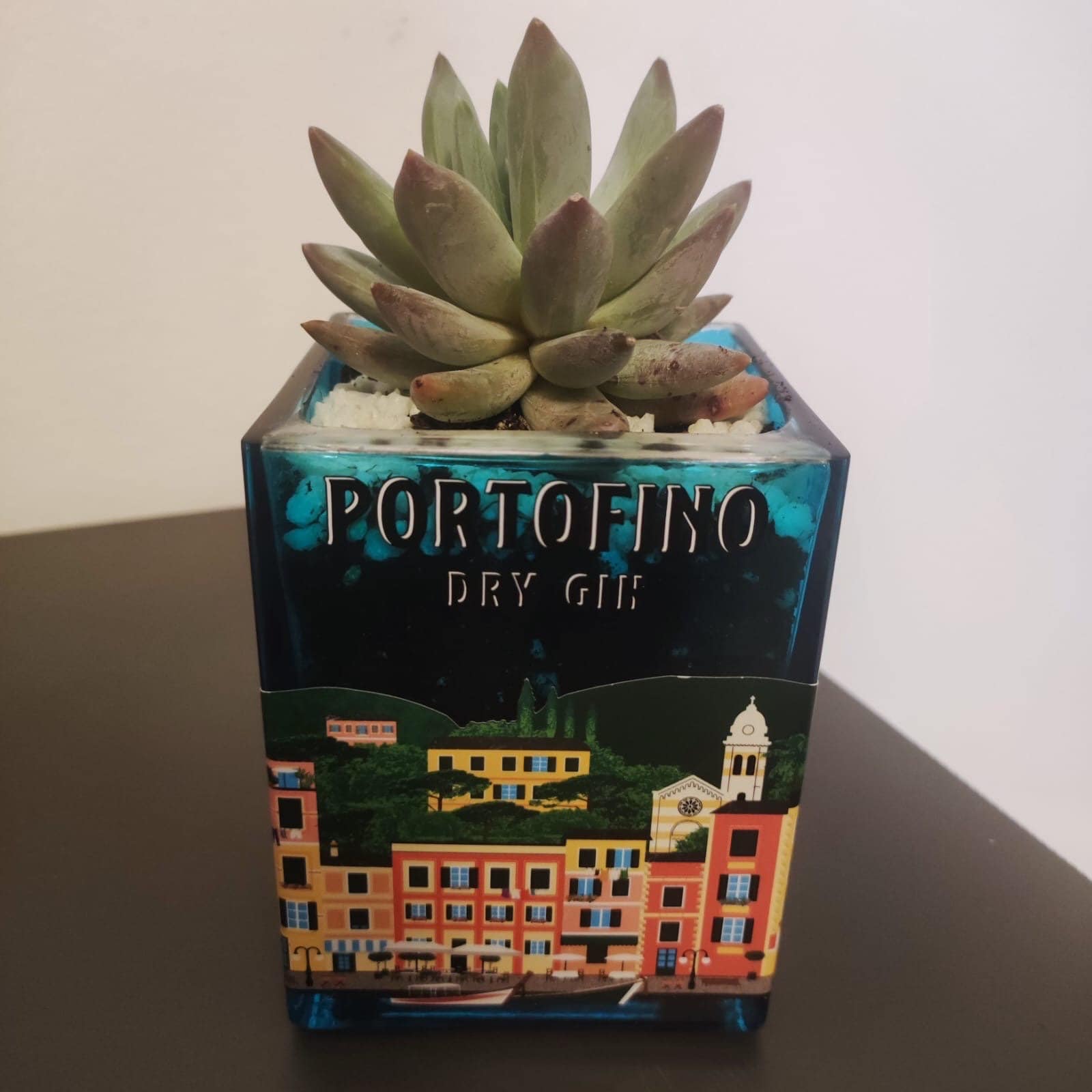 Portofino gin bottle vase with succulent plant for home decor, designer bottle vase, wedding favor, homemade, unique gift, upcycling, gin bottle
