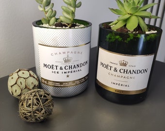 Champagneflesvaas met vetplant ter decoratie, designfles, huwelijksgunst, zelfgemaakt, uniek cadeau