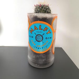 Può includere: Un piccolo cactus che cresce in una bottiglia di vetro smerigliato con un'etichetta blu e arancione che recita "MALFY GIN G.Q.D.I. CON ARANCIA (ITALIA) BLOOD ORANGE 41% VOL"