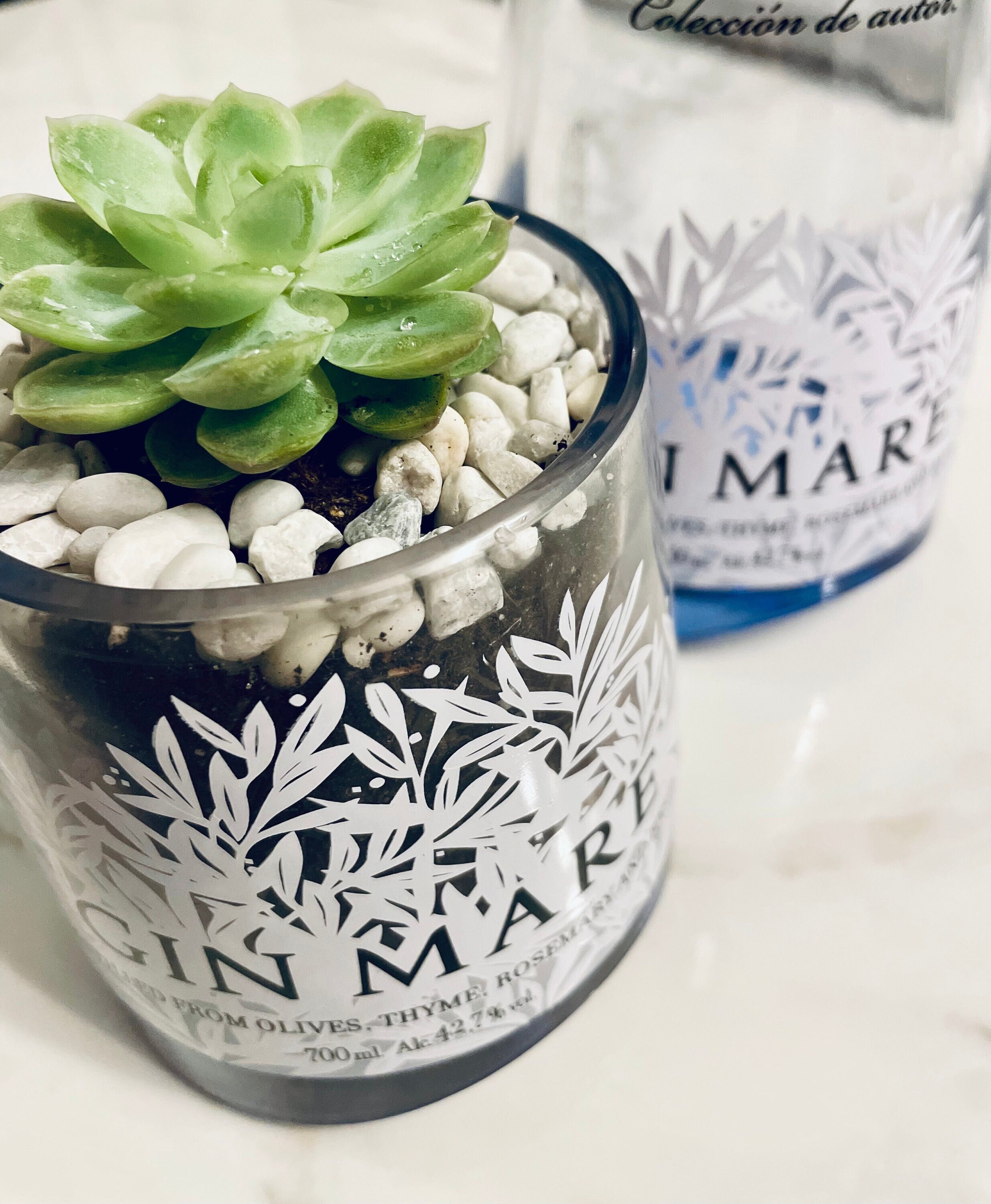 Gin Mare flesvaas met vetplant ter decoratie, designfles, huwelijksgunst, zelfgemaakt, uniek cadeau