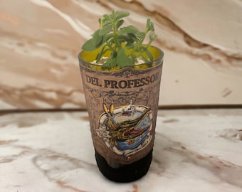 Gin Professor Flessenvaas met Vetplant voor Decoratie