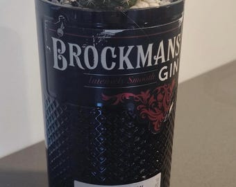 Brockman&#39;s gin-flesvaas met vetplant voor inrichting, designfles, huwelijksgunst, zelfgemaakt, uniek cadeau