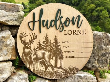 Introducing Baby Sign | Baby Hospital Sign Deer | Deer Birth Stat | Hospital Door Sign Boy | Hospital Name Sign | Baby Name Sign | Unique