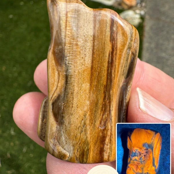 Petrified Wood Fossils | UltraViolet, Tumbled, Old Stock Collection | McDermott Caldera, Oregon | Choose Your Stone