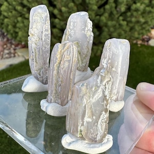 May include: Five light-colored, crystalline formations are displayed on a clear, square glass base. The formations have a rough, textured appearance with hints of green and yellow. The base is held by a hand, with a green lawn and shrubbery in the background.