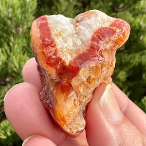 May include: A polished, heart-shaped carnelian gemstone. The stone features a mix of orange, red, and white hues, with a prominent red stripe pattern. The gemstone is held in a hand against a backdrop of green foliage.