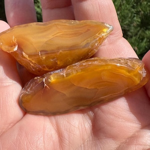 May include: Two polished, translucent agate stones in shades of amber and gold are held in a hand. The stones have a layered, banded appearance, with variations in color and opacity. The background is blurred, with green foliage visible.