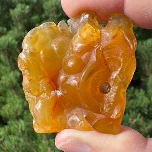 May include: A translucent, amber-colored gemstone with a rough, organic shape. The stone has a mix of golden and orange hues, with visible internal structures and a polished, glossy surface. The gemstone is held up against a backdrop of green foliage.