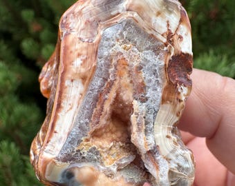 Agata Corniola - Grotta Botrioidale con Druzy, Linee di Fortificazione Opalizzate ed Epimorfi. Raccolta e Campione Burattato a Sweet Home, Oregon