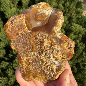 May include: A raw, natural stone with a warm, earthy color palette. The stone features a mix of amber, brown, and cream hues, with intricate patterns and textures. The surface has a rough, organic appearance, showcasing the stone's natural beauty.