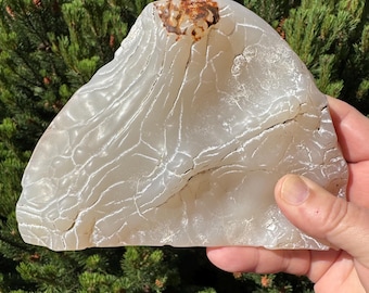 Snakeskin agate from Rome, Oregon. This botryoidal agate is cut to stand and tumbled. 2025 is the year of the snake. Large collectors piece