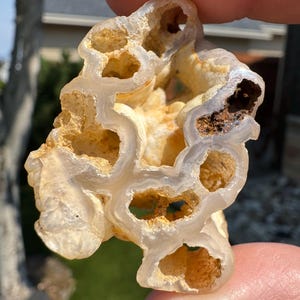 May include: A unique, natural stone specimen with a porous, honeycomb-like structure. The stone features a mix of translucent white and golden-brown hues, with several open cavities. The overall shape is irregular and organic, showcasing the beauty of natural formations.
