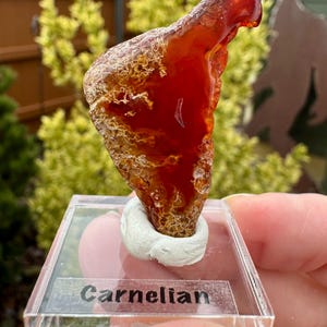 May include: A translucent, deep orange and red carnelian mineral specimen with intricate white, web-like inclusions. The stone is mounted on a white adhesive base atop a clear acrylic display block labeled with the text Carnelian and PR18.