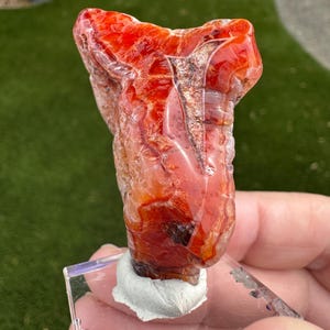 May include: A polished, irregular piece of vibrant orange and red carnelian agate with translucent sections and visible internal banding. The stone features a glossy, smooth surface texture with deep crimson veins and lighter amber highlights throughout.
