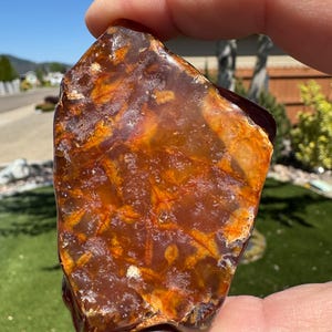 May include: A polished, irregularly shaped stone with a rich, warm color palette. The stone features a blend of deep brown and vibrant orange hues, with intricate vein-like patterns throughout. The surface is smooth and reflective, catching the light.