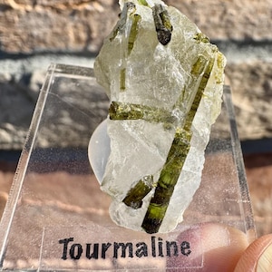 Green Tourmaline in Clear Quartz Crystal Matrix | October Alternate Birthstone, Choose Your Stone