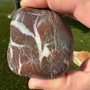 May include: A smooth, rounded stone with a rich, reddish-brown base color, veined with striking white and gray patterns. The stone is held in a hand, showcasing its natural texture and unique mineral formations. The stone's surface is polished, reflecting light.