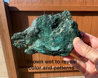 Hampton Butte Petrified Wood | Oregon Rough Fossil Wood | Blue Green Natural Lapidary Specimen | Untreated Rockhound Display Piece