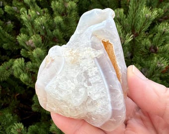 Limb Cast With Crystal Center From Congleton Hollow In Oregon. Collected And Tumbled To Show Its Natural Shape And Character.