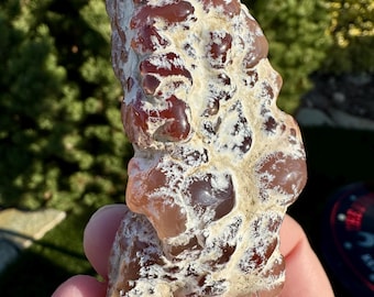 Peut inclure: Un spécimen minéral brut et irrégulier présentant des formations bulbeuses translucides brun-rouge foncé, contrastées par une matrice opaque blanche et texturée qui recouvre la surface de la pierre en un motif organique.