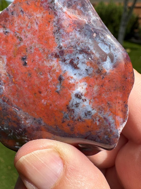 Spotted Jasper With Multi Color Inclusions. Purple, Red, Blue and