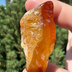 May include: A polished, translucent gemstone with a mix of orange and yellow hues. The stone has a smooth, glossy surface with visible banding and a rough, textured edge. The gemstone is held up against a backdrop of green foliage.