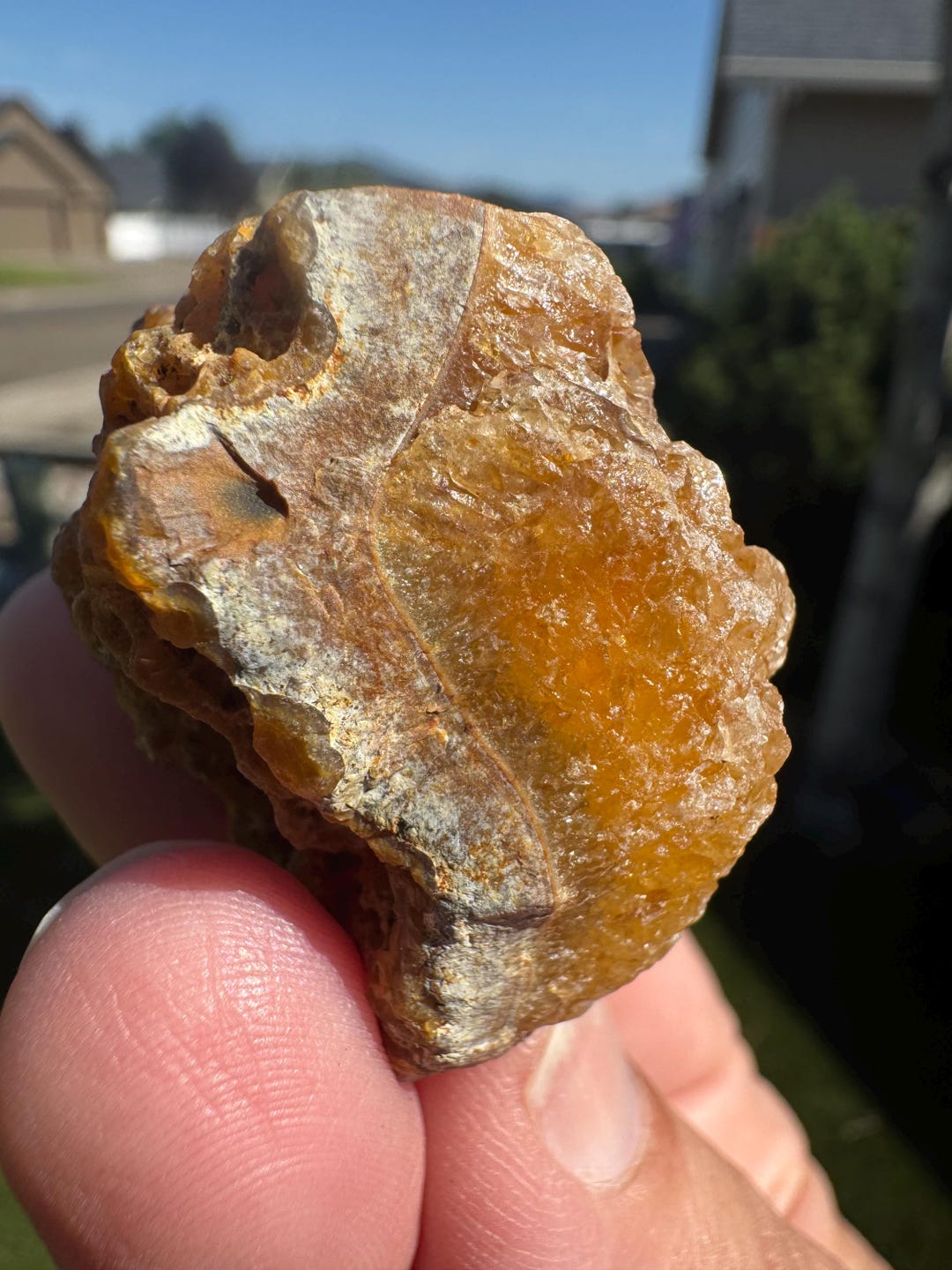 Rough Carnelian Crystal for Desk or Zen Garden Decor - Natural Volcanic ...
