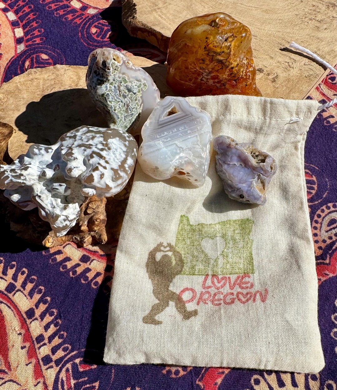 Treasure Bag of Oregon Rocks. Tumbled Carnelian, Limb Cast, Snakeskin ...