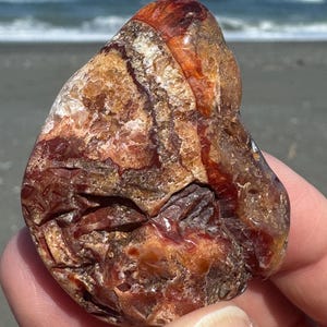 May include: A naturally shaped, polished stone with a mix of reddish-brown, amber, and tan hues. The stone has a smooth, glossy surface with intricate patterns and textures. The background shows a beach and ocean.