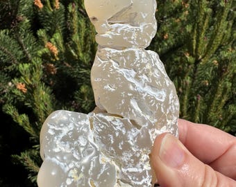 Snakeskin agate from Rome, Oregon. This botryoidal agate is specimen tumbled to character of the stone. 2025 year of the snake.