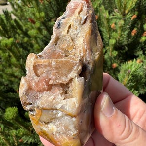 Stippenagaat met veelkleurige druzy-kristallen, jaspisbollen, gesneden en gepolijst om te staan. Verzameld in Madras (Oregon).
