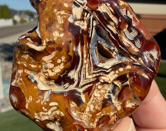 May include: A polished, irregular-shaped piece of petrified wood featuring a complex pattern of deep reddish-brown, golden-yellow, and creamy white bands. The surface is smooth and glossy, displaying intricate, fossilized grain textures throughout.