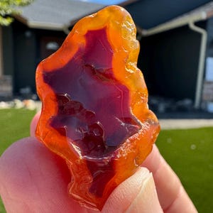 May include: A translucent, polished gemstone featuring a deep, dark red center surrounded by a vibrant, glowing orange outer layer. The stone has an irregular, organic shape with a smooth, glossy surface that catches the sunlight.