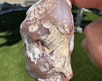 UV Pink Limb Cast Fossil From Texas Springs, Nevada. Specimen Tumbled To Show Its Natural Shape And Character.