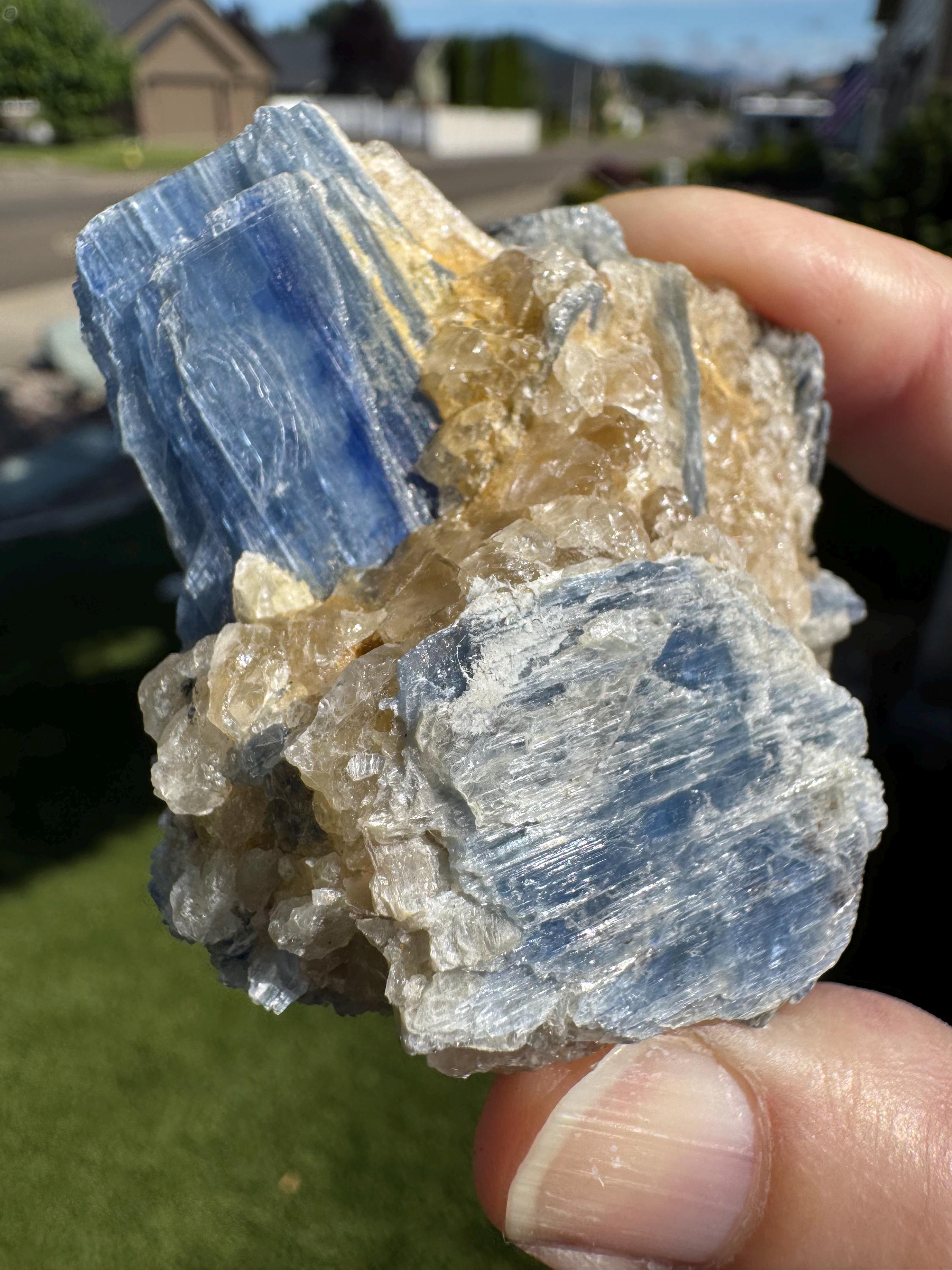 【特大】カイヤナイト 結晶 水晶クラスターの中に、きらびやかな刃状構造を持つカイヤナイト