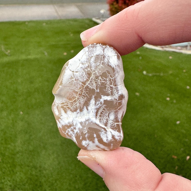 Snakeskin Agate, Tumbled Volcanic Stones From Rome, Oregon ...