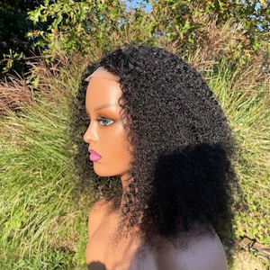 May include: A black curly human hair wig with a lace front. The wig is styled in a short, layered bob with loose curls.