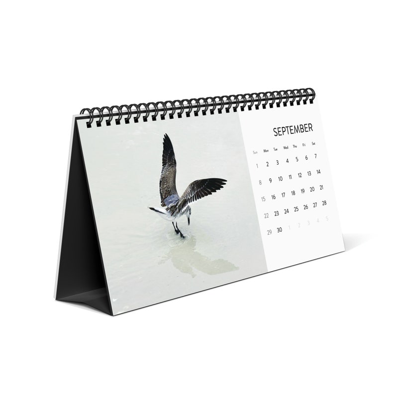 Birds of 30A 2024 Desktop Calendar, Destin, Panama City Beach, Seagrove