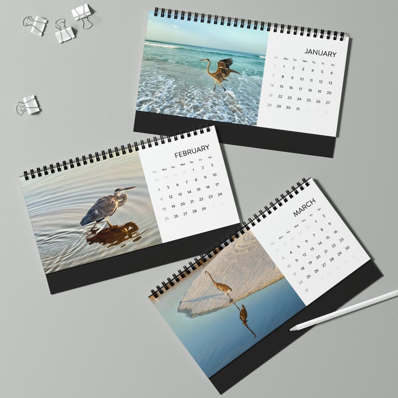 Birds of 30A 2024 Desktop Calendar, Destin, Panama City Beach, Seagrove