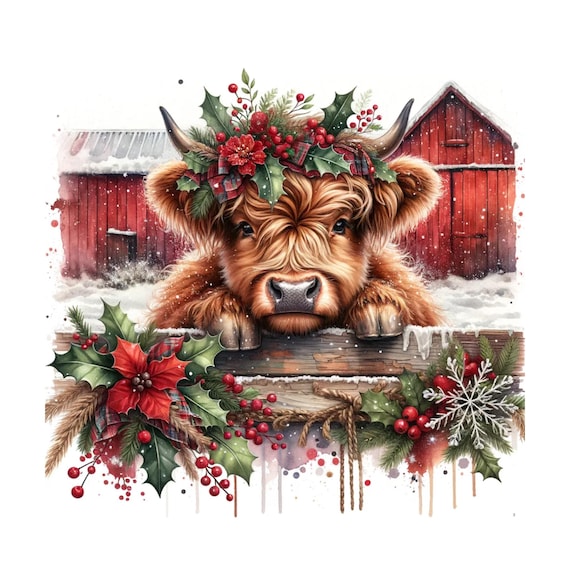 12 Christmas Highland Cow Clipart Png, Christmas Png, Watercolor clipart, High Quality PNG,Digital download, Png designs for crafts Journals